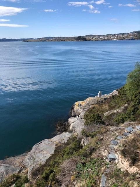 Koselig Nyoppusset 3 Roms Leilighet Med Egen Parkeringsplass I Rolige Omgivelse Naer Sjoen, 2 Mil Nord For Bergen Sentrum. Екстер'єр фото